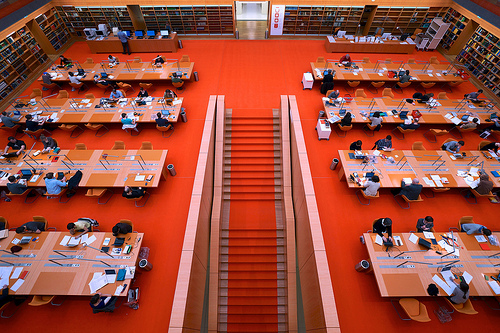 Viele Leser Viele Leser